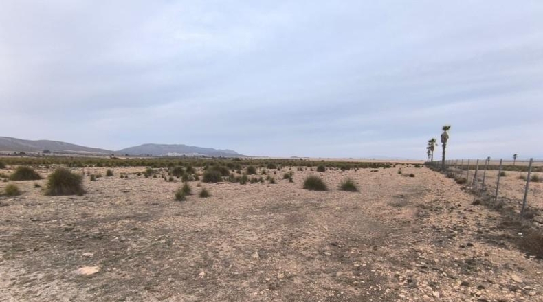 Valencia - Valencia - 95000m2