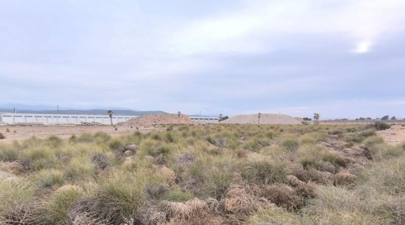 Valencia - Valencia - 95000m2