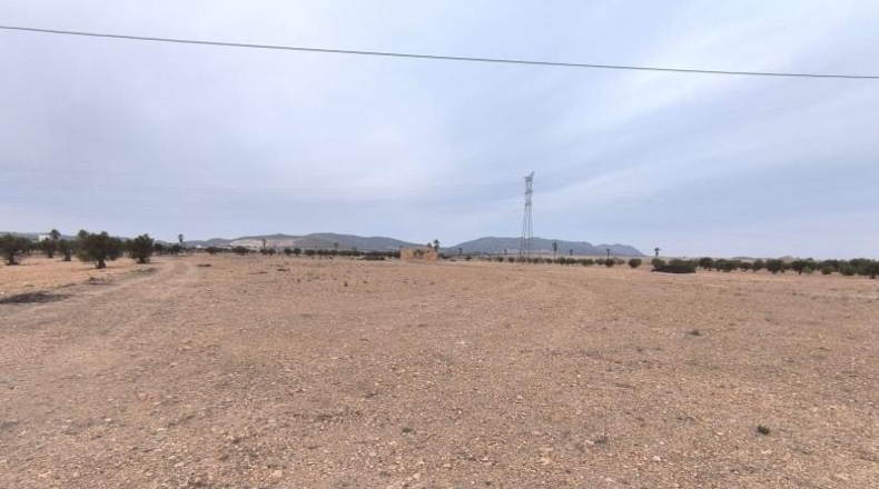 Valencia - Valencia - 95000m2