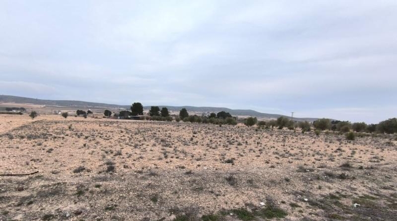 Valencia - Valencia - 95000m2