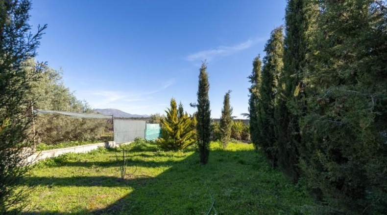 Гранада - Atarfe - 2500m2