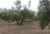 Terreno no urbanizable en venta en la España, Peligros, ref: TR396212 foto