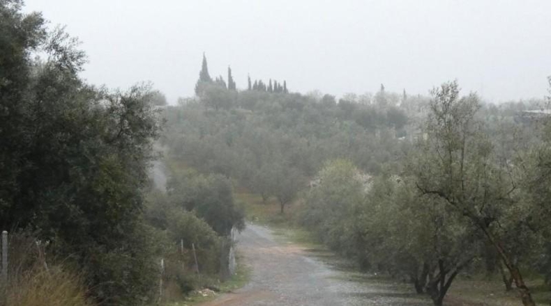 Granada - Peligros - 11000m2