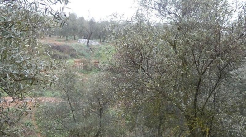 Granada - Peligros - 11000m2