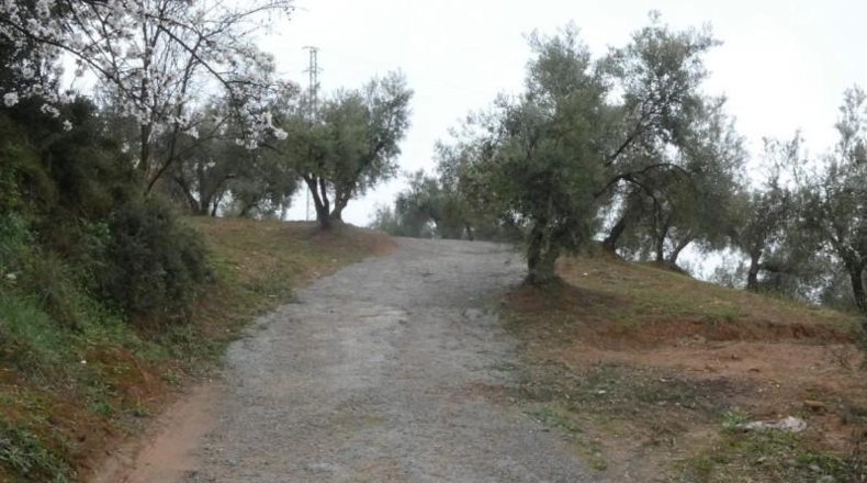 Granada - Peligros - 11000m2