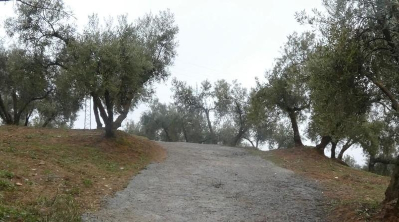 Granada - Peligros - 11000m2
