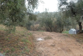 Foto 9