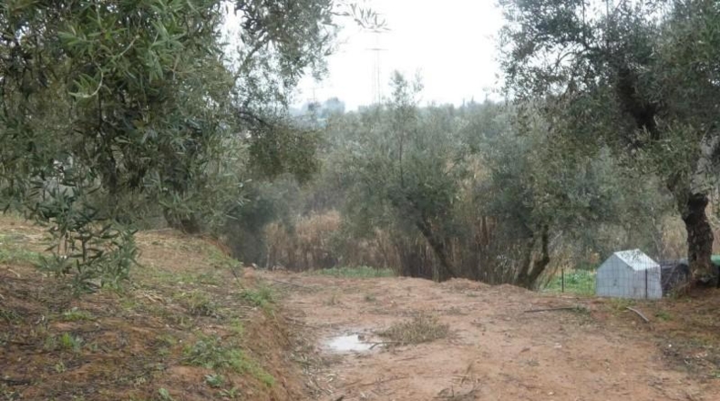 Granada - Peligros - 11000m2