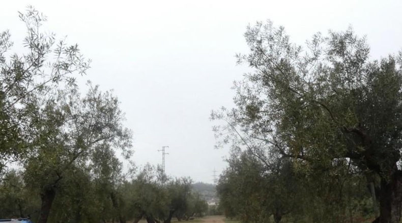 Granada - Peligros - 11000m2