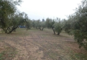 Terreno no urbanizable en venta en la España, Peligros, ref: TR396212 foto