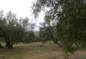 Terreno no urbanizable en venta en la España, Peligros, ref: TR396212 foto