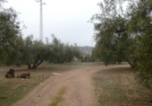 Terreno no urbanizable en venta en la España, Peligros, ref: TR396212 foto