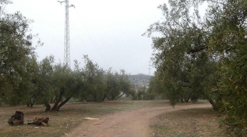 Granada - Peligros - 11000m2