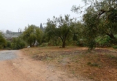 Terreno no urbanizable en venta en la España, Peligros, ref: TR396212 foto