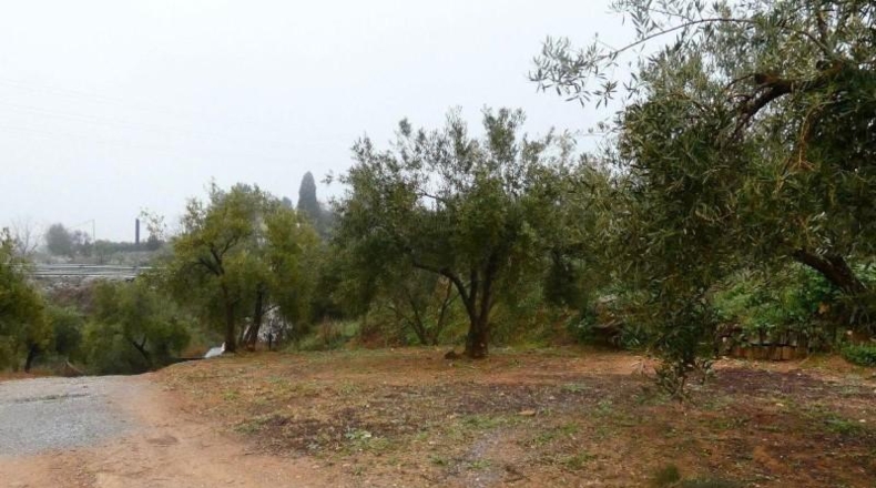 Granada - Peligros - 11000m2