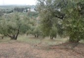 Terreno no urbanizable en venta en la España, Peligros, ref: TR396212 foto