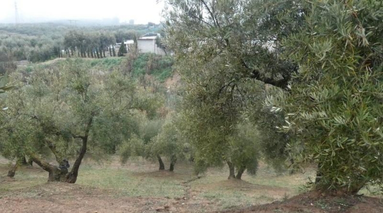 Granada - Peligros - 11000m2