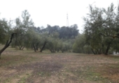 Terreno no urbanizable en venta en la España, Peligros, ref: TR396212 foto