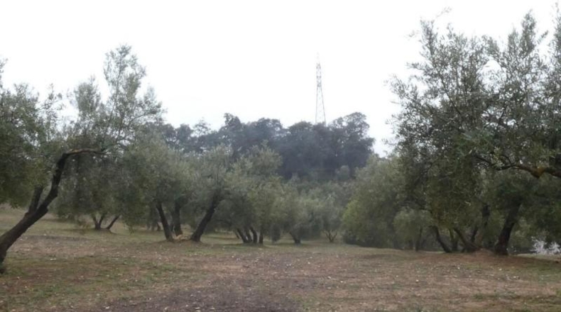 Granada - Peligros - 11000m2