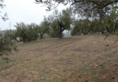 Terreno no urbanizable en venta en la España, Peligros, ref: TR396212 foto