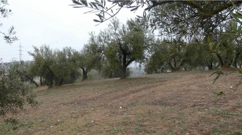 Granada - Peligros - 11000m2