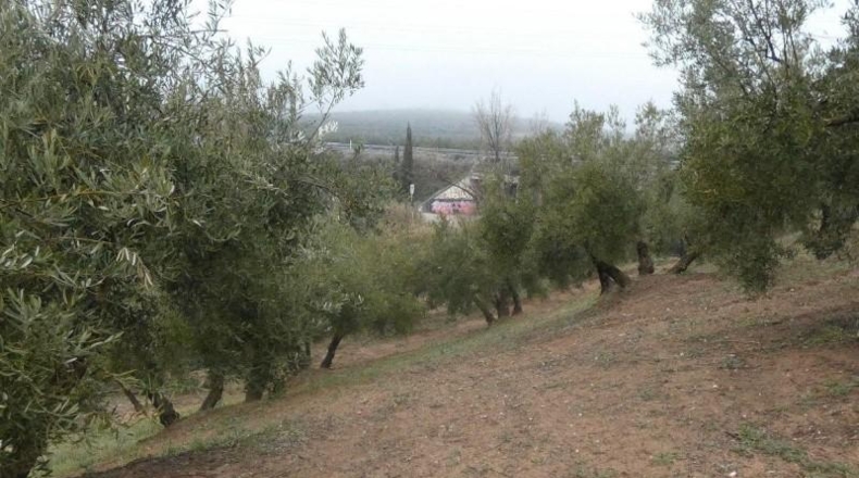 Granada - Peligros - 11000m2