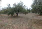 Terreno no urbanizable en venta en la España, Peligros, ref: TR396212 foto