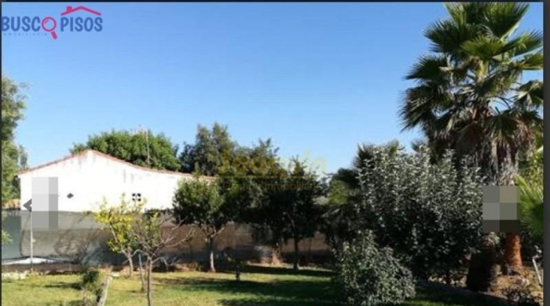 Córdoba - Córdoba - 2500m2