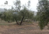 Terreno no urbanizable en venta en la España, Peligros, ref: TR396234 foto