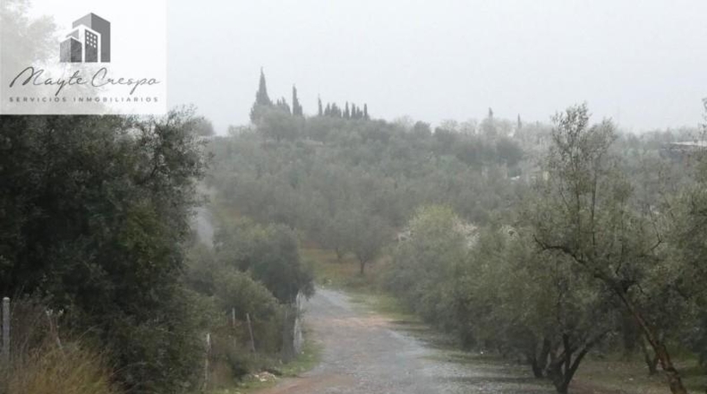 Granada - Peligros - 11000m2