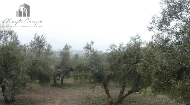 Granada - Peligros - 11000m2