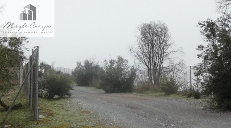 Granada - Peligros - 11000m2