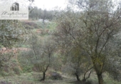Terreno no urbanizable en venta en la España, Peligros, ref: TR396234 foto