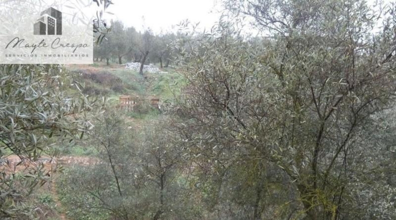 Granada - Peligros - 11000m2