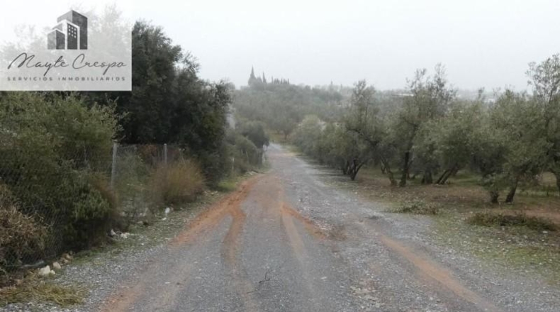 Granada - Peligros - 11000m2