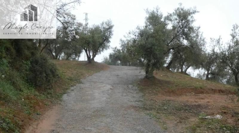 Granada - Peligros - 11000m2