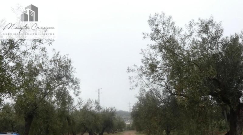 Granada - Peligros - 11000m2