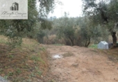 Terreno no urbanizable en venta en la España, Peligros, ref: TR396234 foto