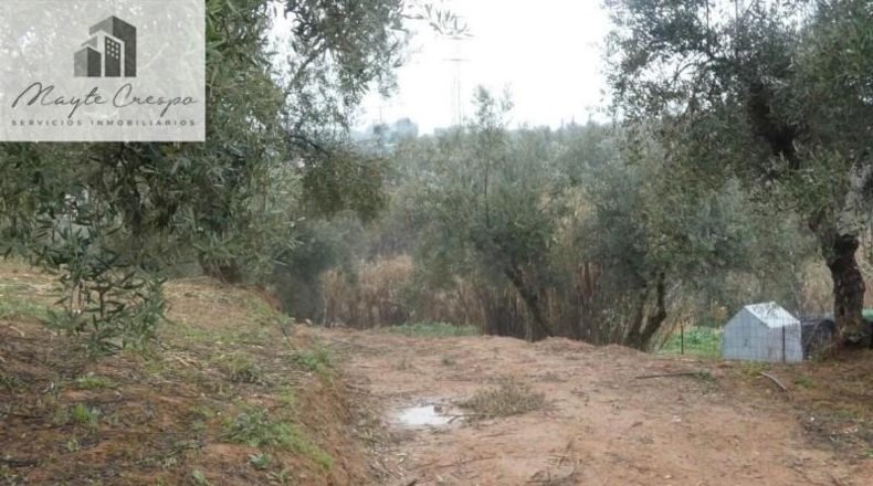 Granada - Peligros - 11000m2