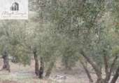 Terreno no urbanizable en venta en la España, Peligros, ref: TR396234 foto