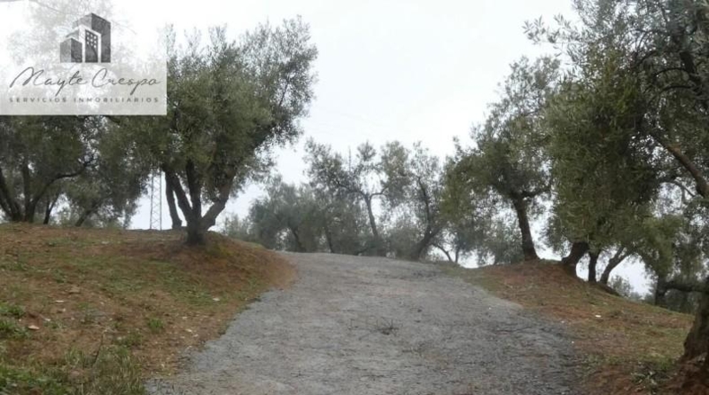 Granada - Peligros - 11000m2