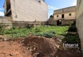 Detached villa with land for sale on España, Manacor, ref: TR171987 photo