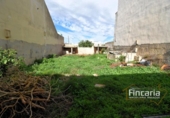 Detached villa with land for sale on España, Manacor, ref: TR171987 photo