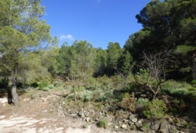 Torremanzanas 15400&nbsp;m²