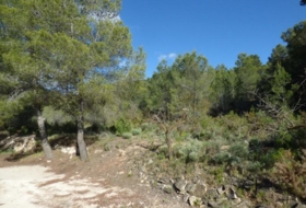 Torremanzanas 15400&nbsp;m²