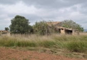 Casa de campo con terreno en venta en la España, Muro, ref: TR142258 foto