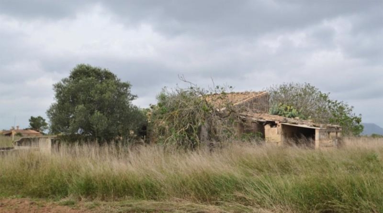 Islas Baleares - Muro - 24300m2