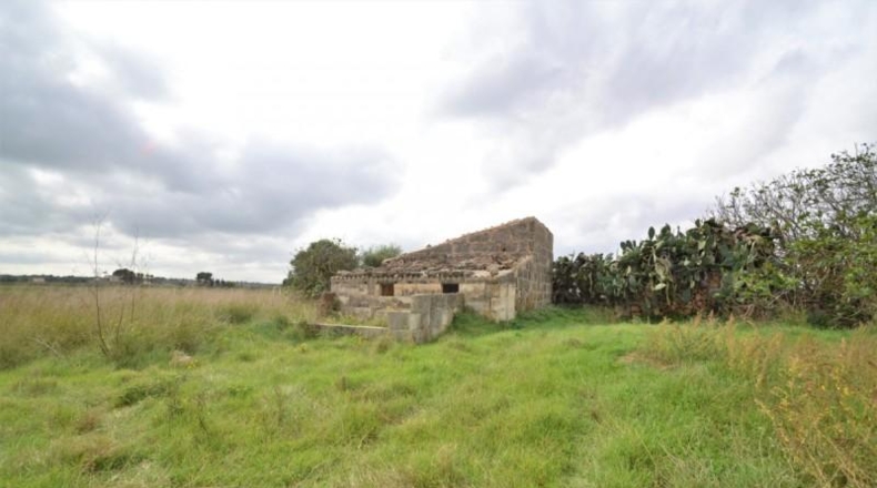 Islas Baleares - Muro - 24300m2