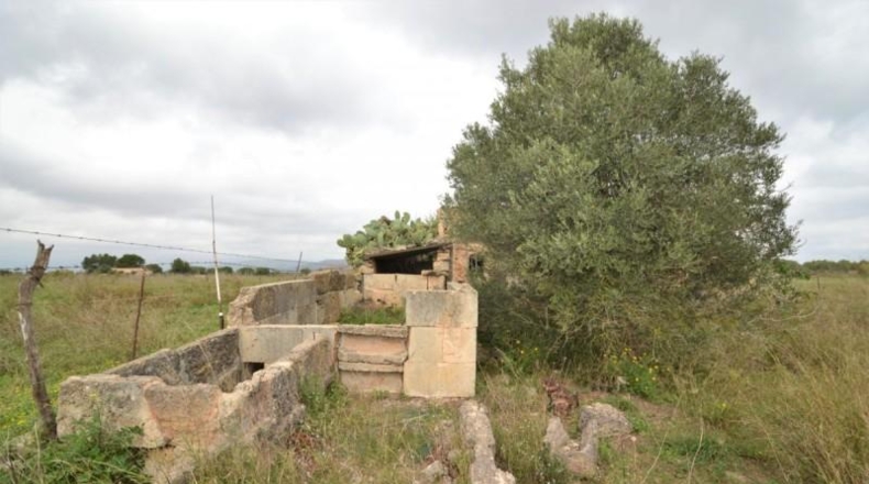 Islas Baleares - Muro - 24300m2