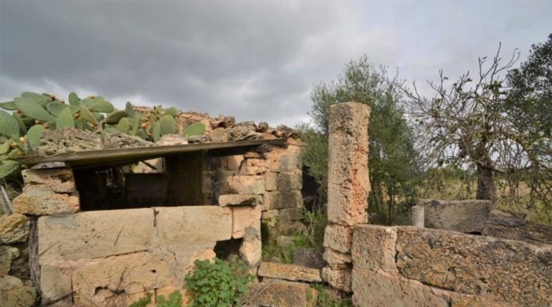 Islas Baleares - Muro - 24300m2